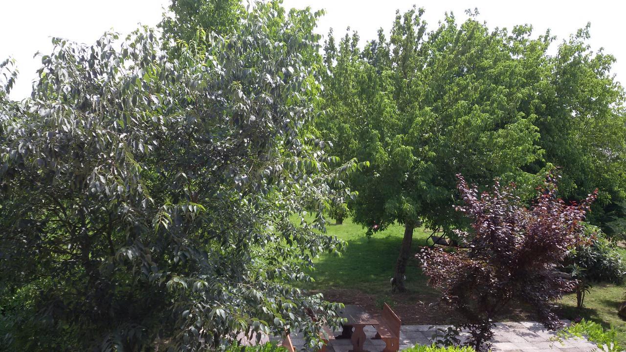 Willa Agriturismo La Pace Valeggio sul Mincio Zewnętrze zdjęcie